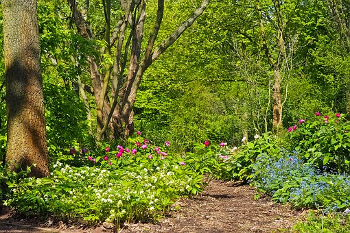 Forest gardens