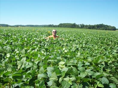 mixed crop and livestock farming