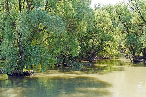 Riparian strips