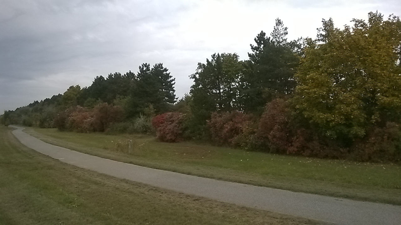 Shelterbelts, windbreaks