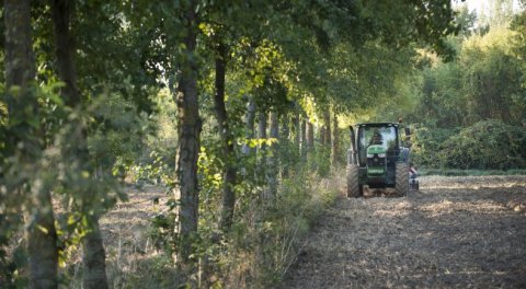 Photo by: Pascal Xicluna/agriculture.gouv.fr