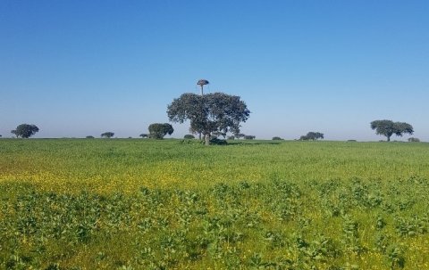 Foto de Raquel Almeida